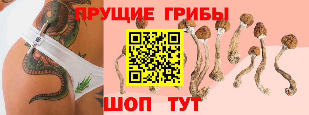 Псилоцибиновые грибы мухоморы  Галлюциногенные грибы прущие грибы  Вход с VPN  Котлас 